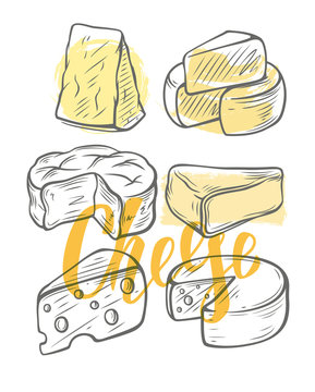 various types of cheese vector sketches on a white background
