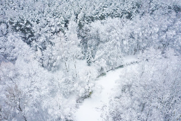 Aerial view of winter beautiful landscape with trees covered with hoarfrost and snow. Winter scenery from above. Landscape photo captured with drone.