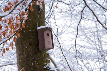 Birdhouse in the forest
