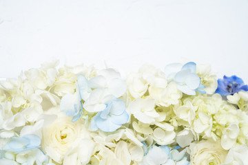 Obraz na płótnie Canvas Hydrangea flower white background floral flat lay
