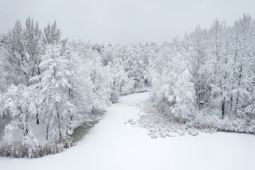 Aerial view of winter beautiful landscape with trees covered with hoarfrost and snow. Winter scenery from above. Landscape photo captured with drone.