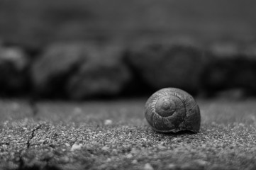 Dettagli della terra © ivanc1980