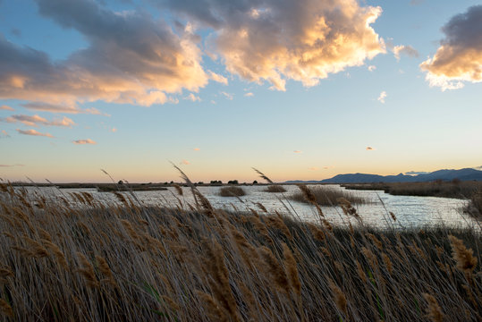 Sunset in the natural park of prat de cabanes