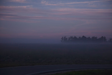 Fototapeta premium fog in the field against the forest