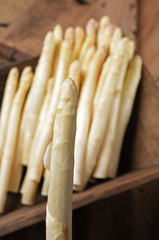 white asparagus on old table