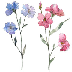 Pink and purple flax floral botanical flower. Watercolor background set. Isolated flax illustration element.