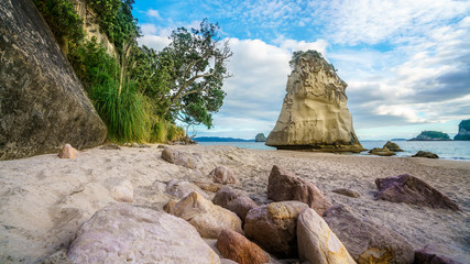 Fototapeta na wymiar sandstone rock monolith behind stones in the sand at cathedral cove, new zealand 6