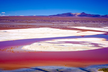 Exciting top view of red Laguna Colorada with flock of flamingos in mountanious Bolivia © Ievgen Skrypko