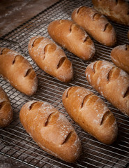 Artisan Rolls
