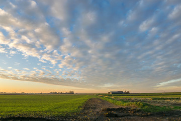 Fototapeta premium Szeroko otwarty krajobraz z pięknymi chmurami o zachodzie słońca między Goudą a Leiden w Holandii. Fantastyczne niebo z chmurami altocumulus nad farmą na holenderskiej wsi.