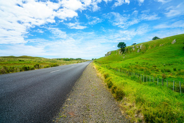 road in green hills,coromandel peninsula, new zealand 17