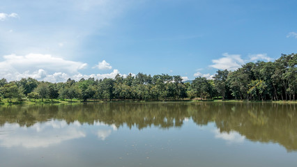 Fototapeta na wymiar Blue sky and trees reflections on the lake.