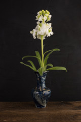 Small marble vase with bunch of white flowers on black background