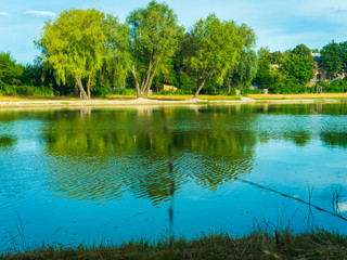 Fototapeta premium Pryshchuk A.V.