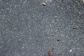 Wet asphalt puddle debris pavement surface texture