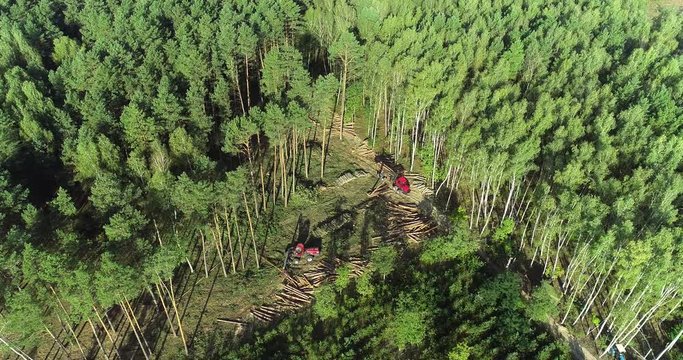 A lumberjack operating a logging machine in a pine forest. Forest Industry. A cut-to-length (CTL) forest harvester. Forest Wheeled Harvester. Forestry Equipment. Logging Equipment. From above