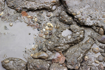 Asphalt crack fracture wet surface texture