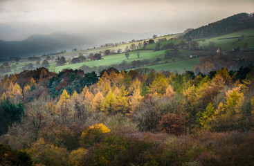 Autumn Rural Landscape