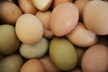 Farm eggs