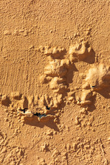 Paint peeling off wall