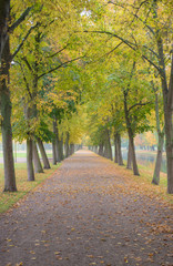 Fototapeta premium Autumn in city park