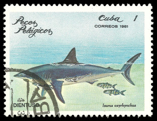 Cuba - stamp 1981, Edition Marine Fauna, Fish, Series Sea fishes, Shortfin Mako Shark, Isurus oxyrinchus