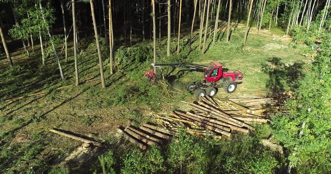 A lumberjack operating a logging machine in a pine forest. Forest Industry. A cut-to-length (CTL) forest harvester. Forest Wheeled Harvester. Forestry Equipment. Logging Equipment. From above