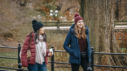 A walk through Central Park New York