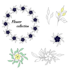 set of floral patterns and vector wreaths for spring greeting cards and decoration