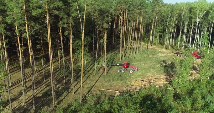 A lumberjack operating a logging machine in a pine forest. Forest Industry. A cut-to-length (CTL) forest harvester. Forest Wheeled Harvester. Forestry Equipment. Logging Equipment. From above
