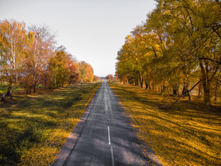 Obraz premium Autumn Fall, Road landscape - beautiful autumnal colors, sunny day, bright yellow leaves, travel concept
