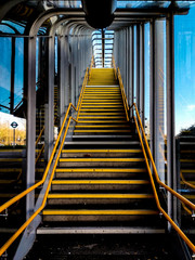 Dlr
