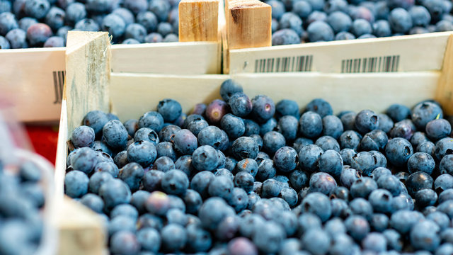 Boxes with fresh blueberries on the market - image