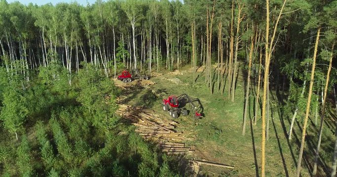 A lumberjack operating a logging machine in a pine forest. Forest Industry. A cut-to-length (CTL) forest harvester. Forest Wheeled Harvester. Forestry Equipment. Logging Equipment. From above