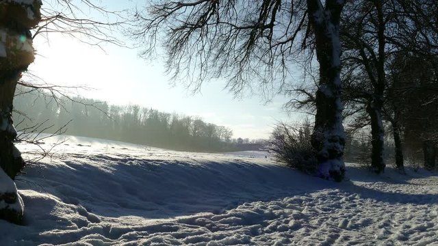 Winter am Ammersee, Bayern, 