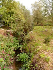 Fototapeta premium Речка Тарапунька. Полтава. Украина.