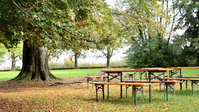 Beer garden in Germany in autumn with falling leaves