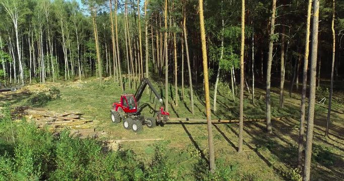 A lumberjack operating a logging machine in a pine forest. Forest Industry. A cut-to-length (CTL) forest harvester. Forest Wheeled Harvester. Forestry Equipment. Logging Equipment. From above