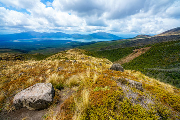 Fototapeta na wymiar hiking the tongariro alpine crossing,grass on volcano,new zealand 10