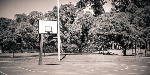 BW Basket