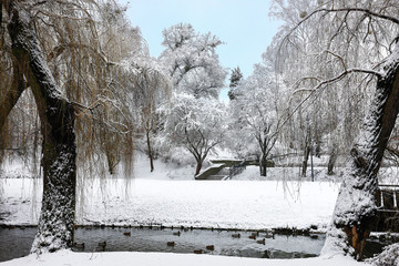 zima w Olsztynie © Janusz Lipiński