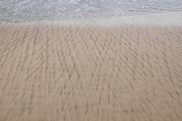Fototapeta na wymiar strong wind pattern in the sand