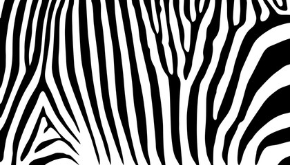 Print stripe animals jungle texture zebra vector black white  - obrazy, fototapety, plakaty