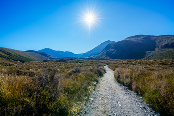 Fototapeta na wymiar hiking tongariro alpine crossing,volcano mt ngauruhoe,new zealand 13