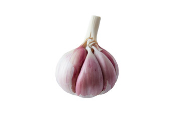 Garlic on white background. Isolated garlic. Solution against cold