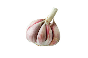 Garlic on white background. Isolated garlic. Solution against cold