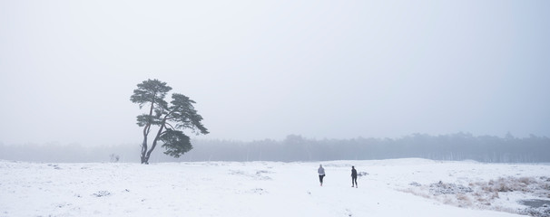 two people jog in winter landscape towards lonely pine tree