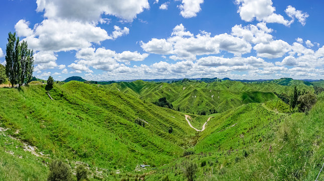 On The Road, Forgotten World Highway, New Zealand 11