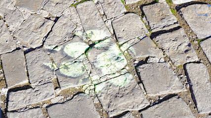 Huella del Oso en El Valle de Ordesa y Monte Perdido, Huesca, Aragón, España
