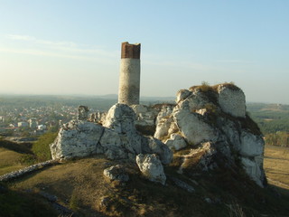 Ruiny zamku w Olsztynie koło Częstochowy - obrazy, fototapety, plakaty
